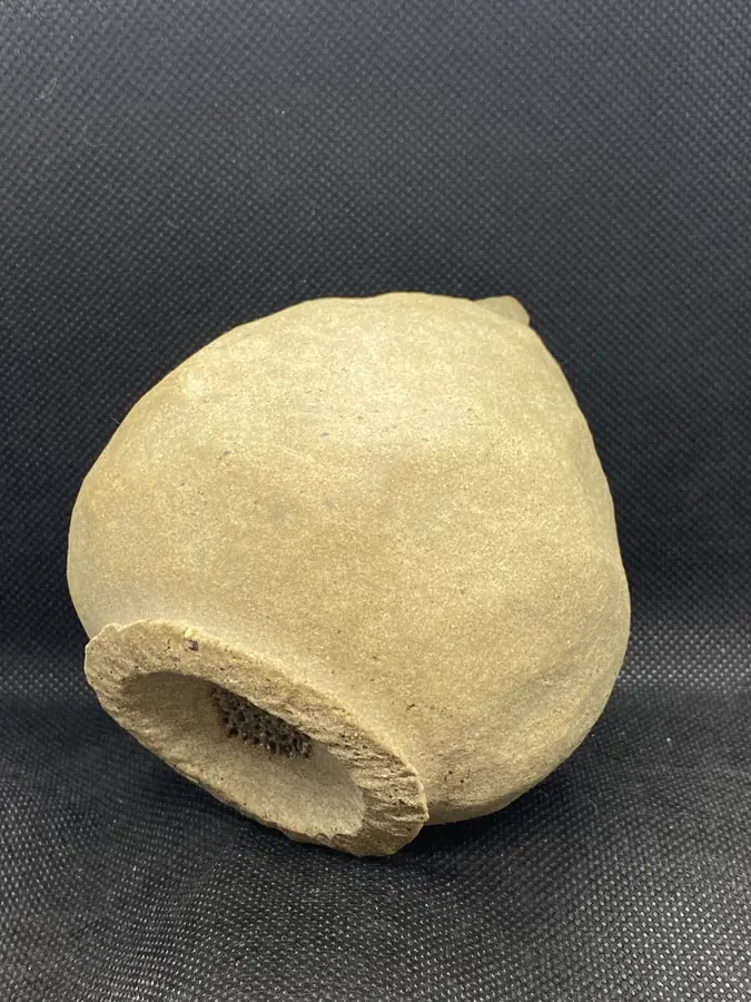 Sculpture en grès de la série Graines & Pollens — référence GP-022